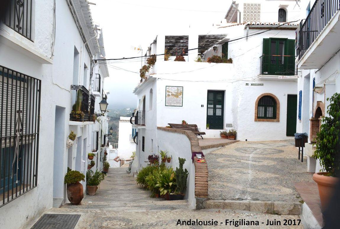 577 - Frigiliana.JPG